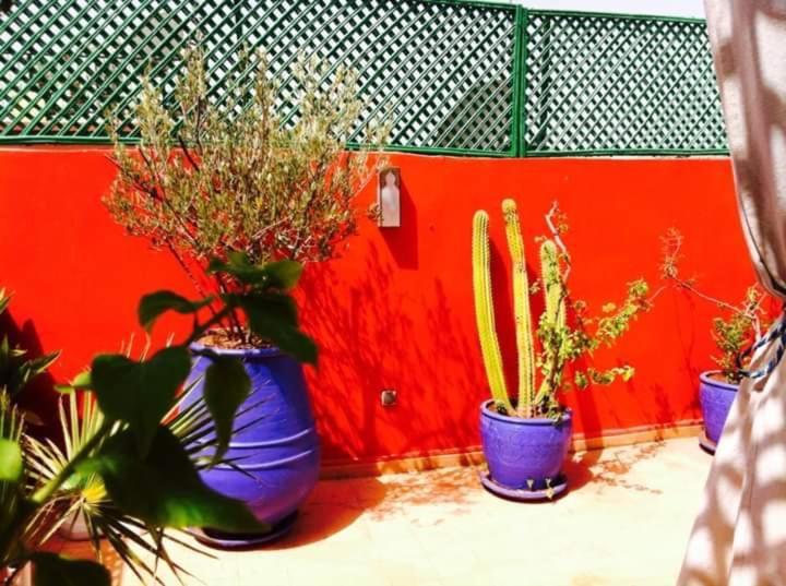 Riad Kalinka Lotus Marrakesh Luaran gambar